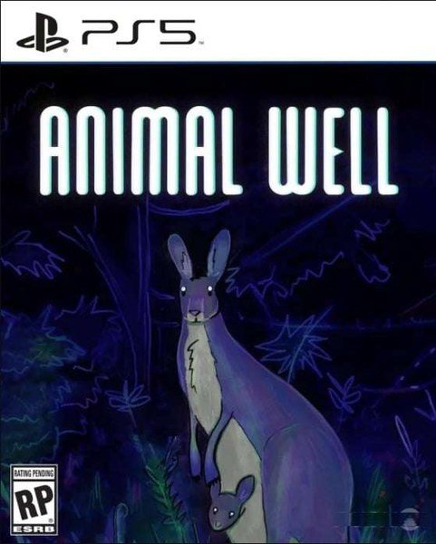 Jaquette PS5 de Animal Well