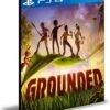 Jaquette PS4 de Grounded