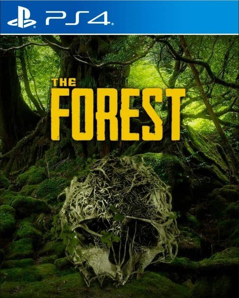 Jaquette PS4 de The Forest