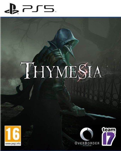Jaquette PS5 de Thymesia