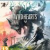 Jaquette PS5 de Wild Hearts